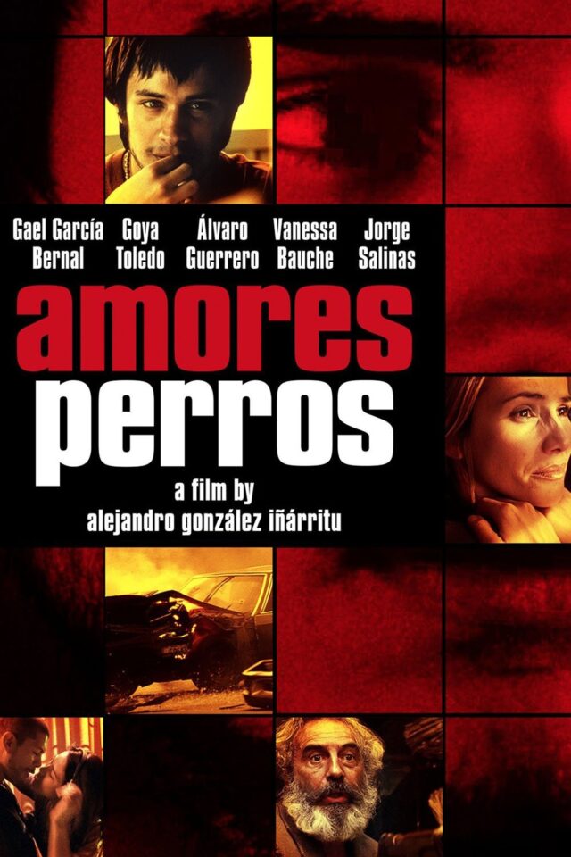 Amores perros Amores perros