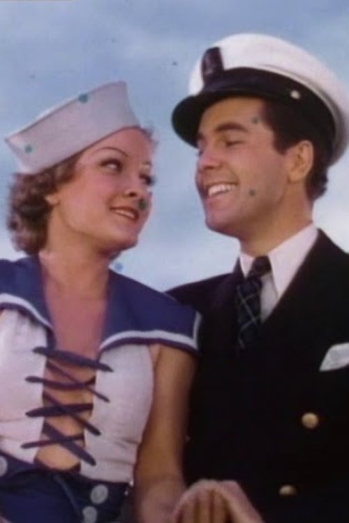 Pirate Party on Catalina Isle Pirate Party on Catalina Isle