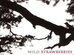 Zemeņu pļava Smultronst llet