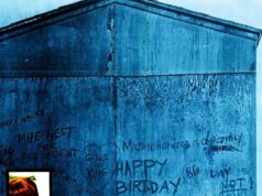 Margrietiņas iekšējā pasaule Inside Daisy Clover