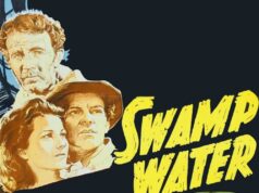 Purva ūdens Swamp Water