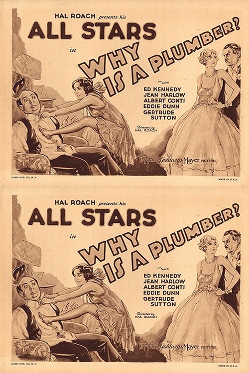 Why Is a Plumber Why Is a Plumber