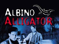 Albīnu aligators Albino Alligator