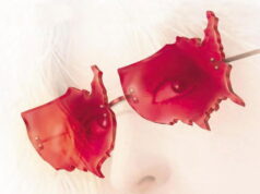 Amerikāņu vagabondi American Strays