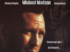 Zaglis un noņēmējs The Thief the Stripper