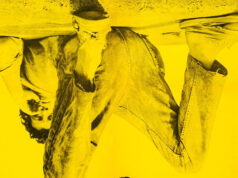 Ja jūs nokrītat uz ļoti ilgu laiku, jūs varat nokļūt augšpusē Been Down So Long It Looks Like Up to Me