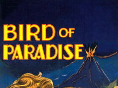 Paradīzes putns Bird of Paradise