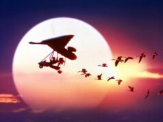 Lidot mājup Fly Away Home