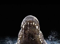 Placida ezers: Baiļu ezers Lake Placid