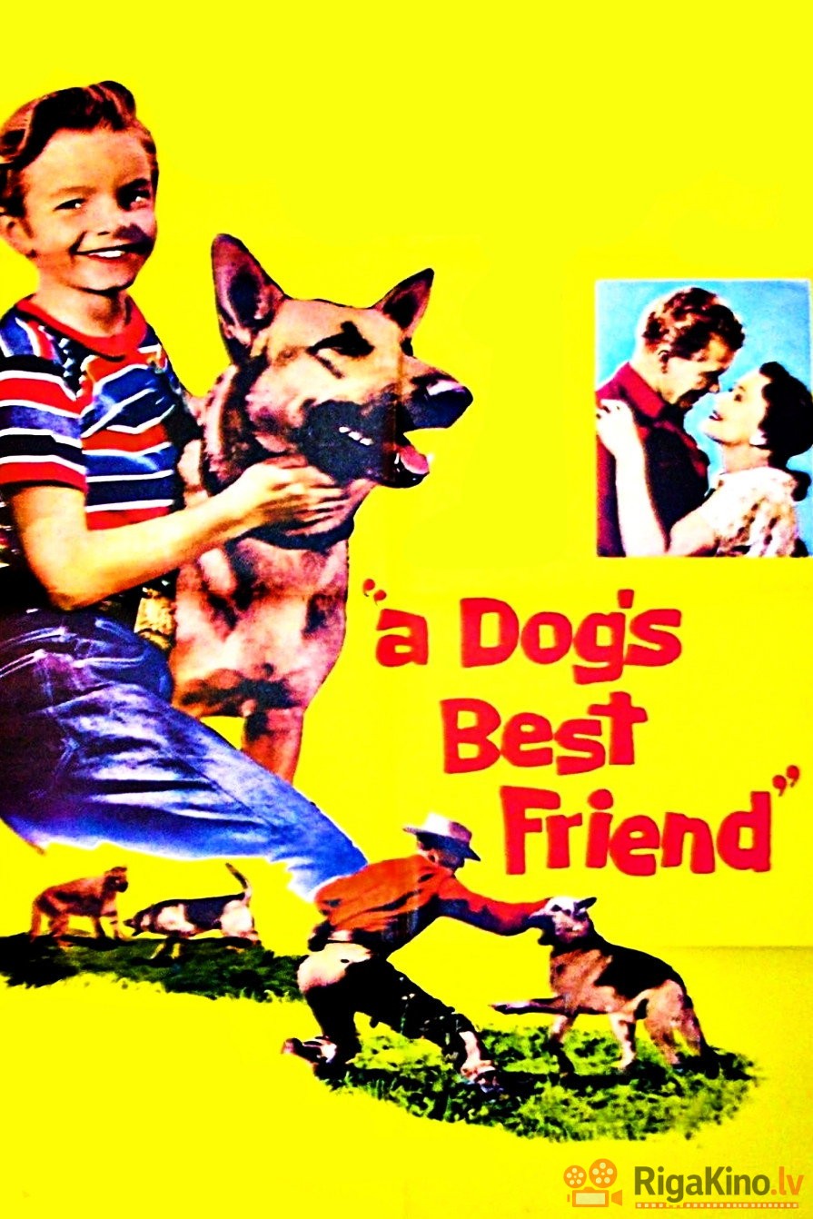 A Dog s Best Friend