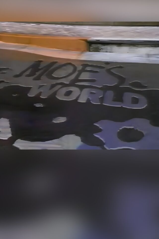 Moe s World