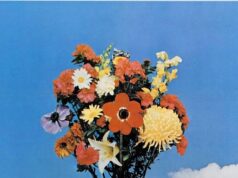 Skaidrā dienā jūs redzēsiet mūžību On a Clear Day You Can See Forever