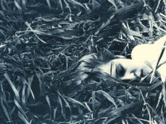 Upes krastā River s Edge