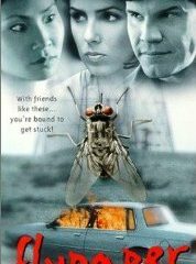Flypaper