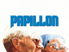 Kožu dzimta Papillon