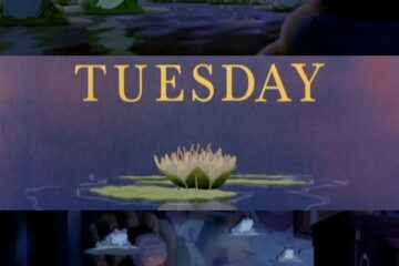 Tuesday