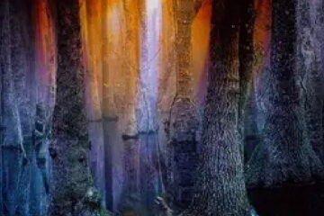 Cypress Edge