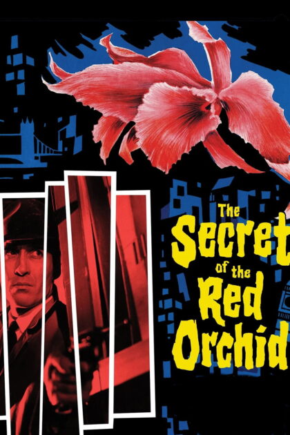 Das R tsel der roten Orchidee
