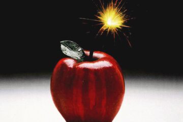 Teachers