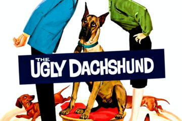 The Ugly Dachshund
