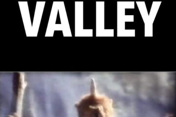 The Valley