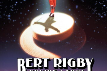 Bert Rigby, You re a Fool