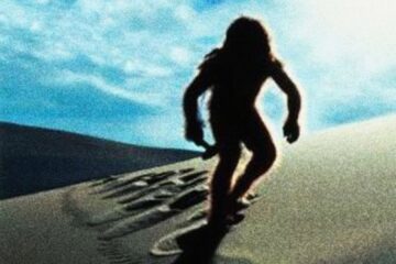 Missing Link