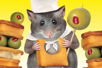 Mouse Hunt