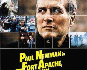 Fort Apache the Bronx