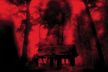 Cabin Fever