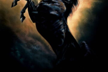 Young Black Stallion